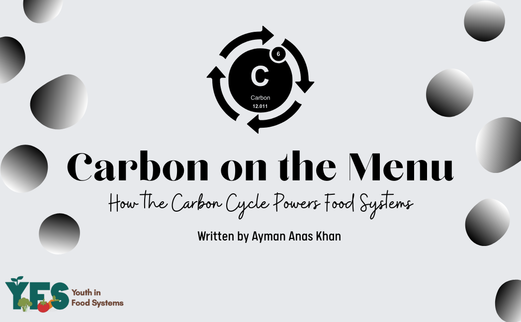 Carbon on the Menu: How the Carbon Cycle Powers Food Systems