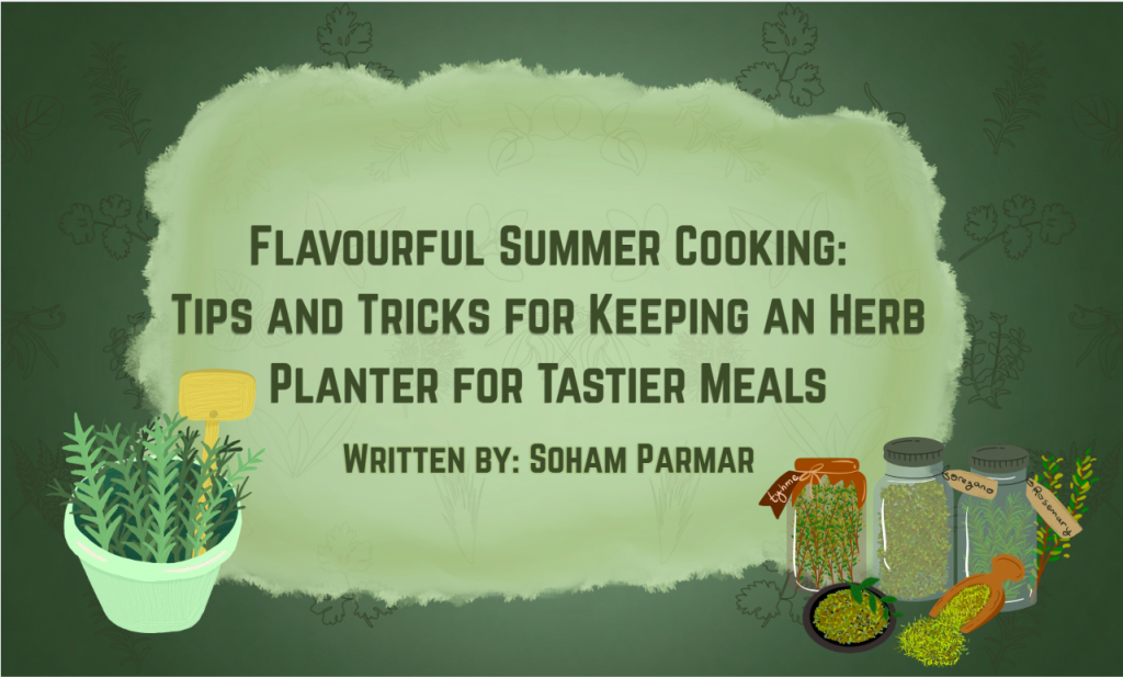 Flavourful Summer Cooking: Tips and Tricks for Keeping an Herb Planter for Tastier Meals