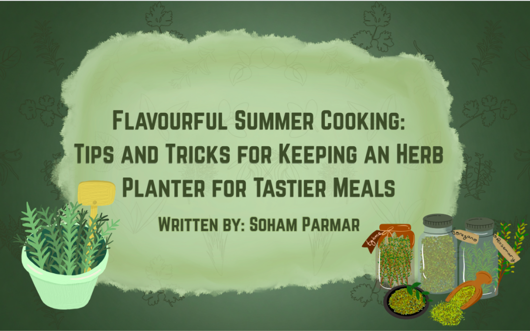 Flavourful Summer Cooking: Tips and Tricks for Keeping an Herb Planter for Tastier Meals