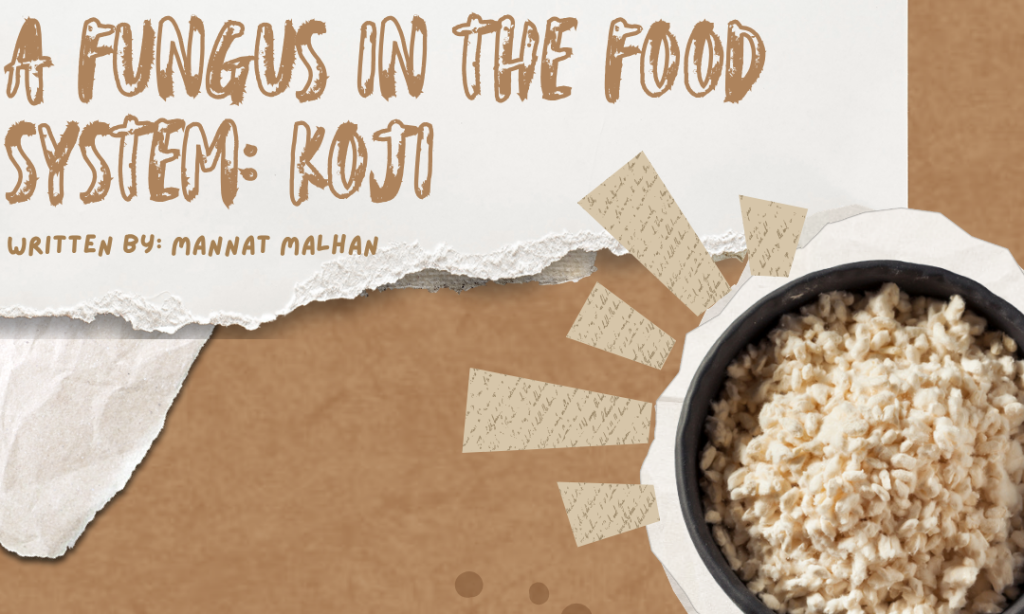 A Fungus in the Food System: Koji