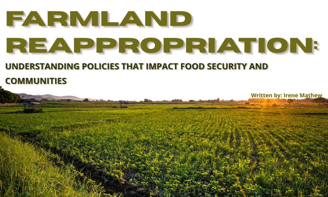 Farmland Reappropriation: Understanding Policies that Impact Food Security and Communities – By Tanvi
