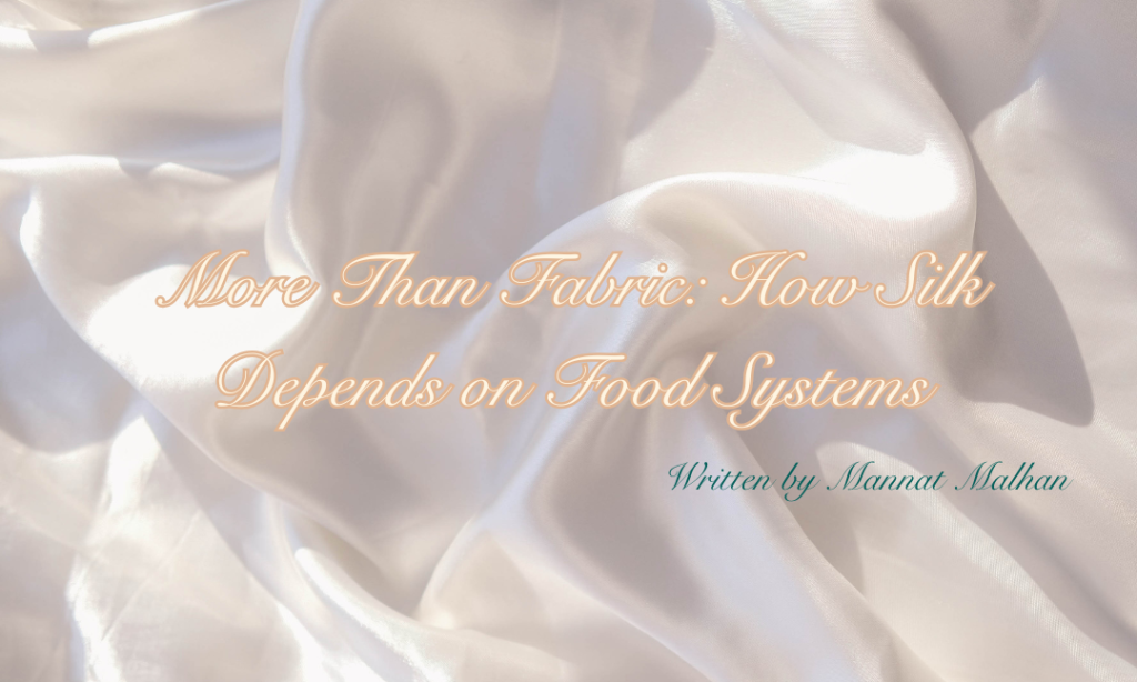 More Than Fabric: How Silk Depends on Food Systems – By Mannat Malhan
