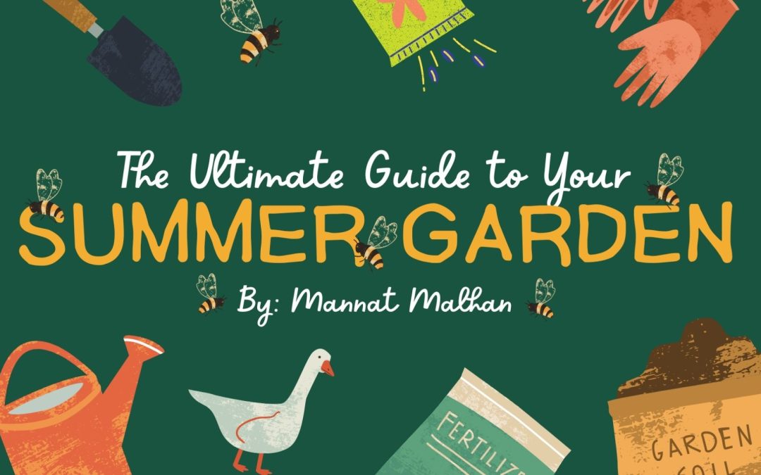 The Ultimate Guide to A Summer Garden – By Mannat Malhan