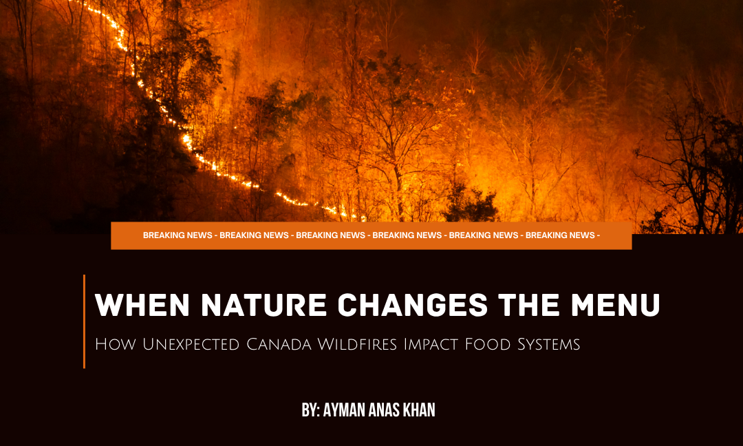 When Nature Changes the Menu: How Unexpected Canadian Wildfires Impact Food Systems – By Ayman Khan