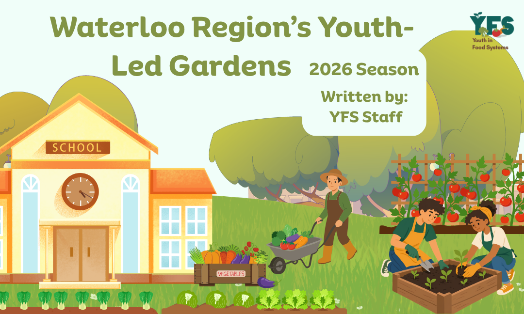 Waterloo Region’s Youth-Led Gardens: 2026 Season