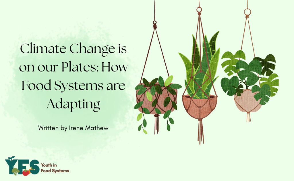 Climate Change Is on Our Plates: How Food Systems Are Adapting