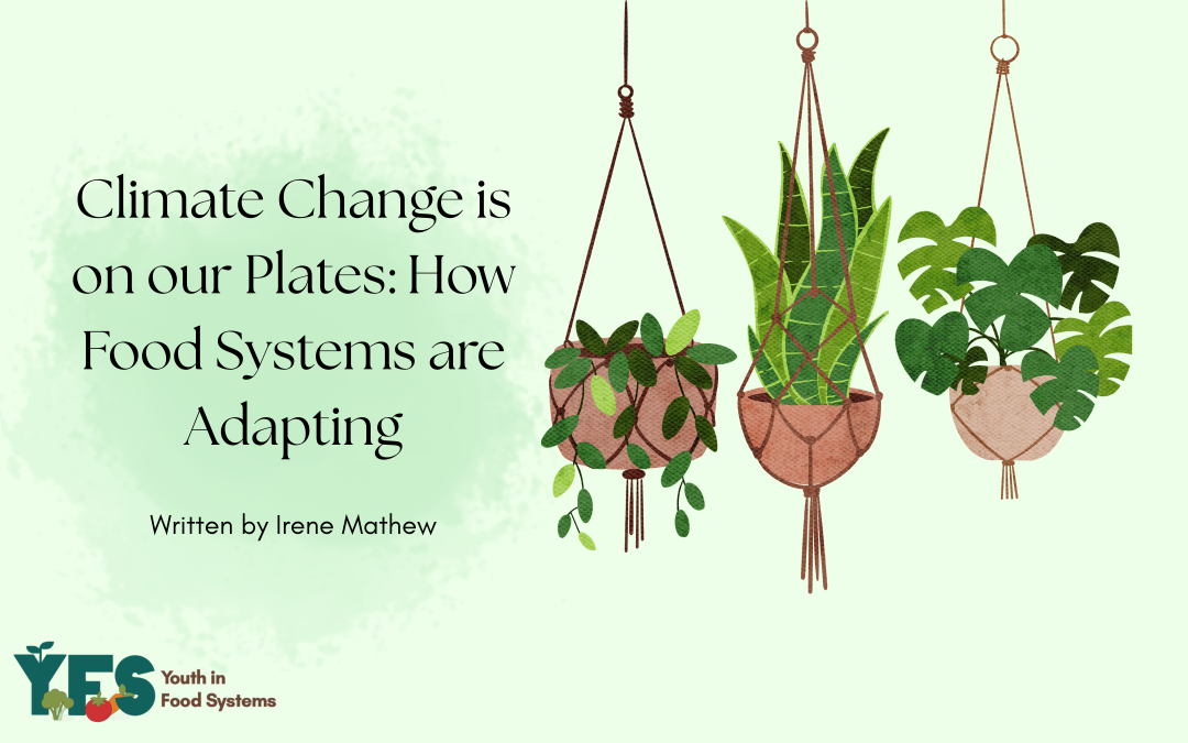 Climate Change Is on Our Plates: How Food Systems Are Adapting