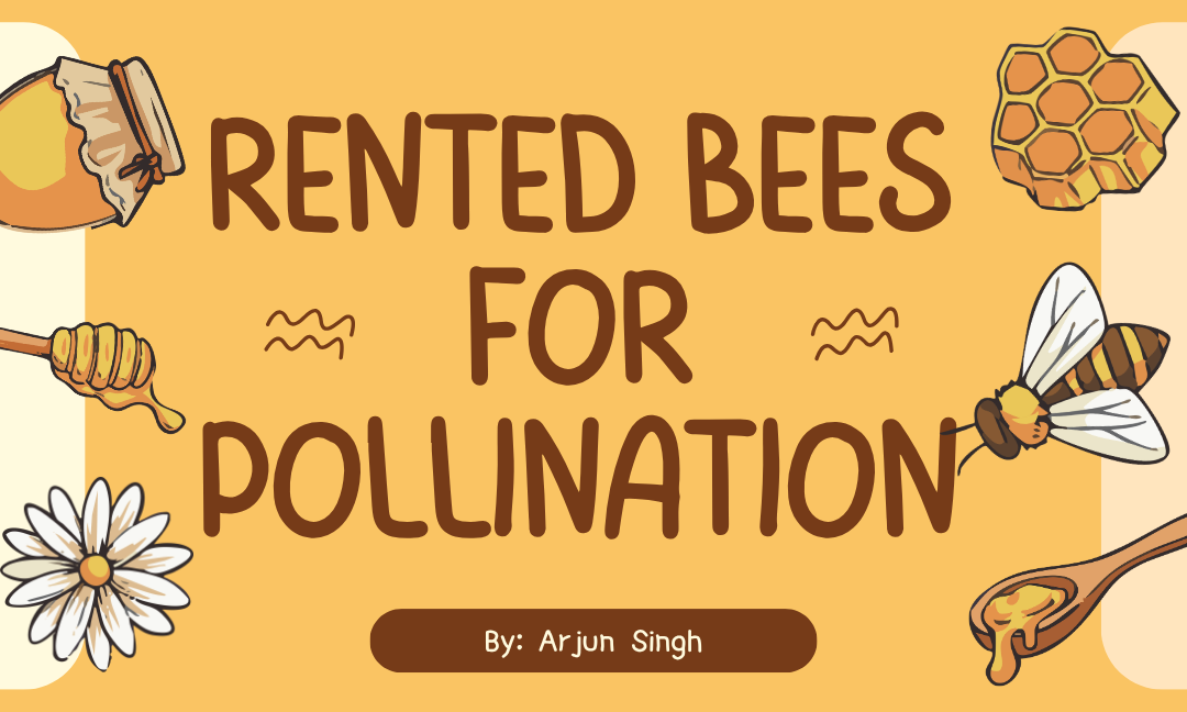 Rented bees for polintation