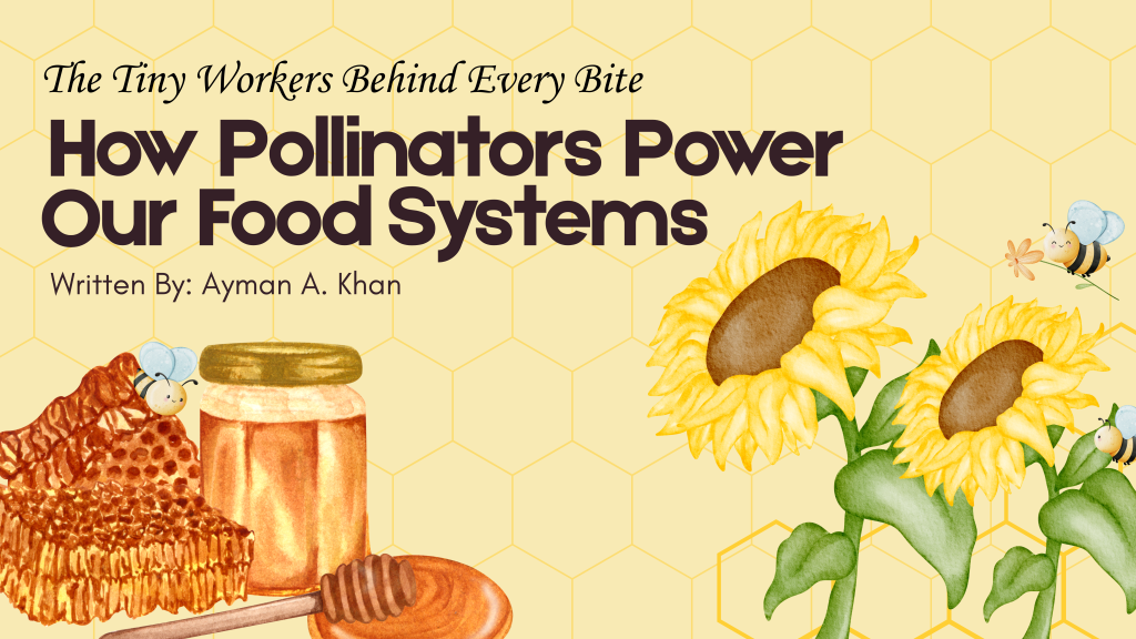 The Tiny Workers Behind Every Bite: How Pollinators Power Our Food Systems