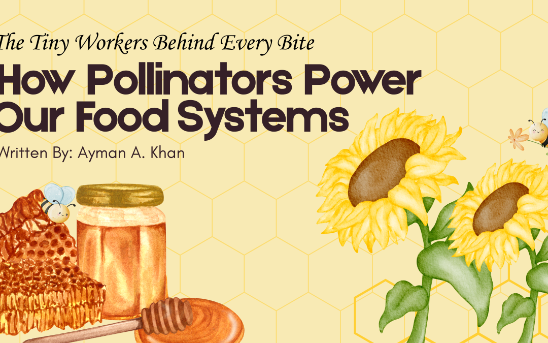 The Tiny Workers Behind Every Bite: How Pollinators Power Our Food Systems