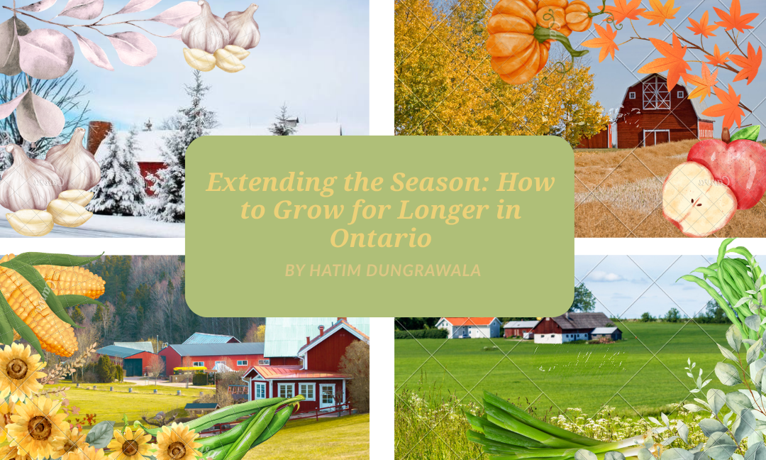 Extending the Season: How to Grow for Longer in Ontario