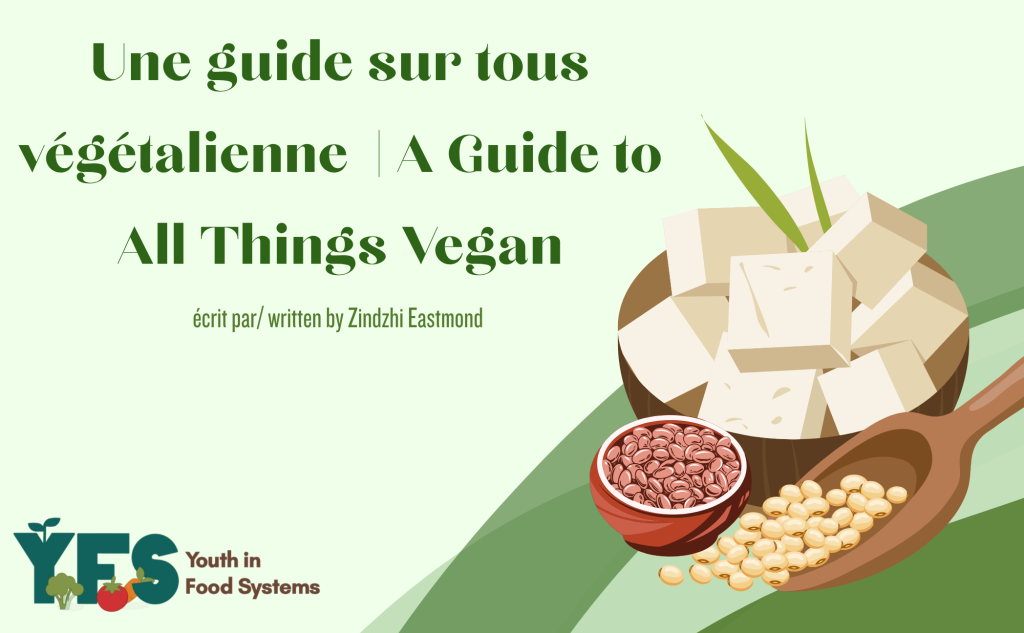 Un guide sur le végétalisme | A Guide to All Things Vegan