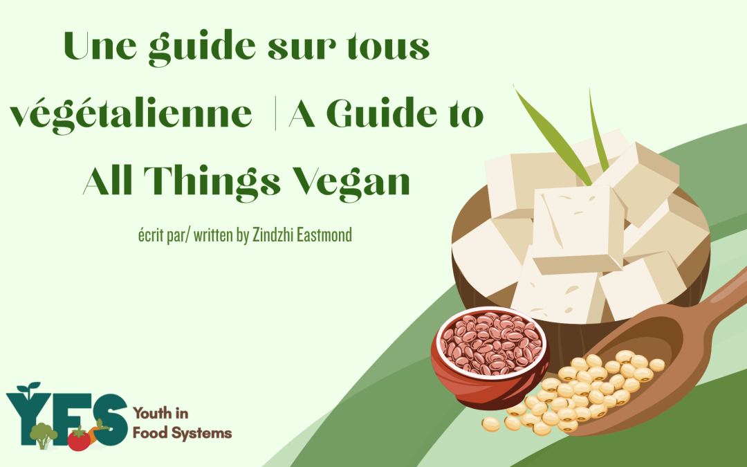 Un guide sur le végétalisme | A Guide to All Things Vegan