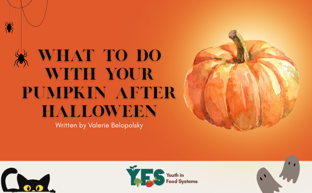 What To Do With Your Pumpkin After Halloween