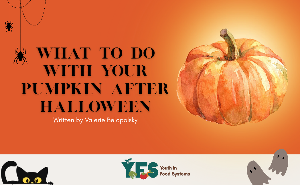 What To Do With Your Pumpkin After Halloween